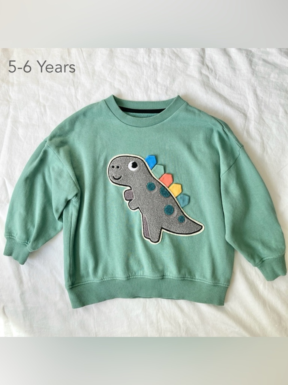NEXT 5-6 Years Kid Boy Girl Dinosaur Green Crewneck Sweatshirt Spring Fall
